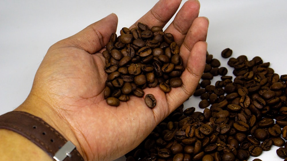 eine Person, die einen Haufen Kaffeebohnen in der Hand hält