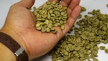 A hand holding a pile of green coffee beans while more beans are scattered on a surface below. The wrist is adorned with a brown leather strap watch.