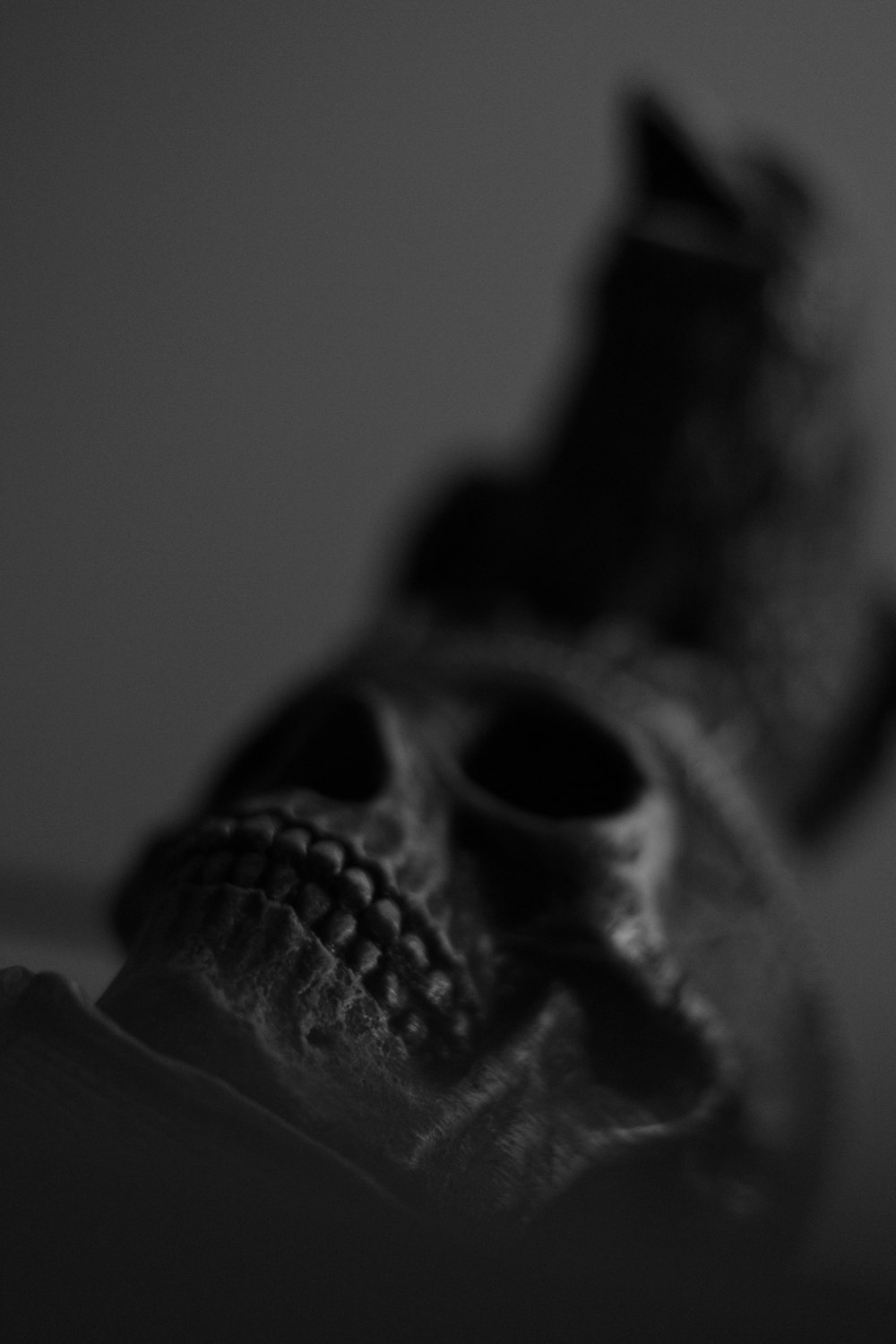 a black and white photo of a skull wearing a hat
