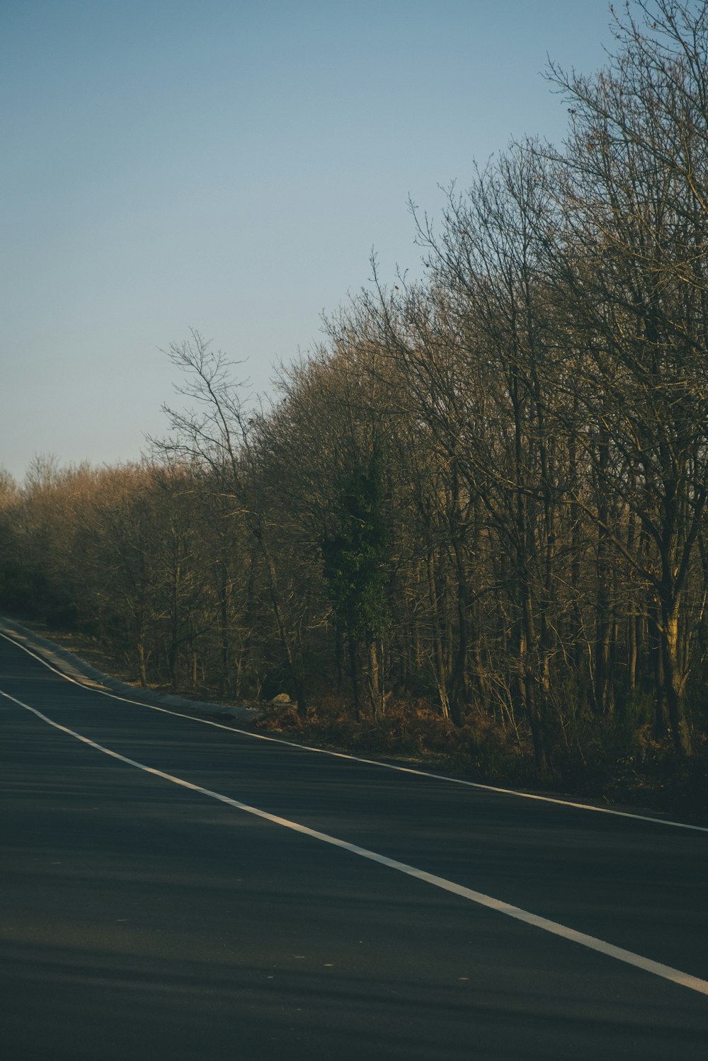 a long empty road with trees on both sides