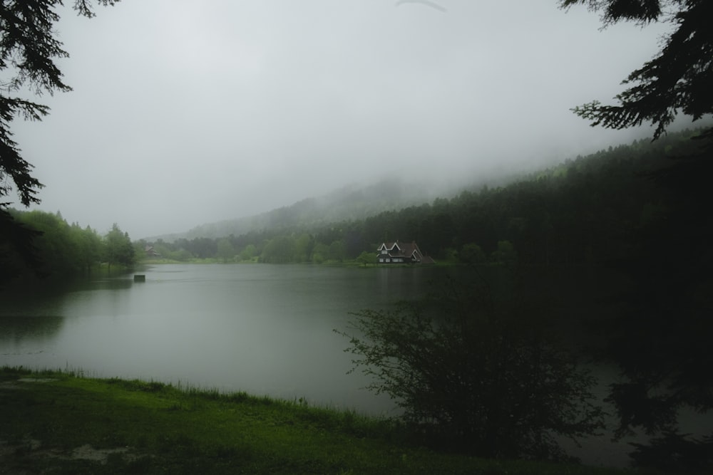 a lake surrounded by trees in the middle of a foggy day