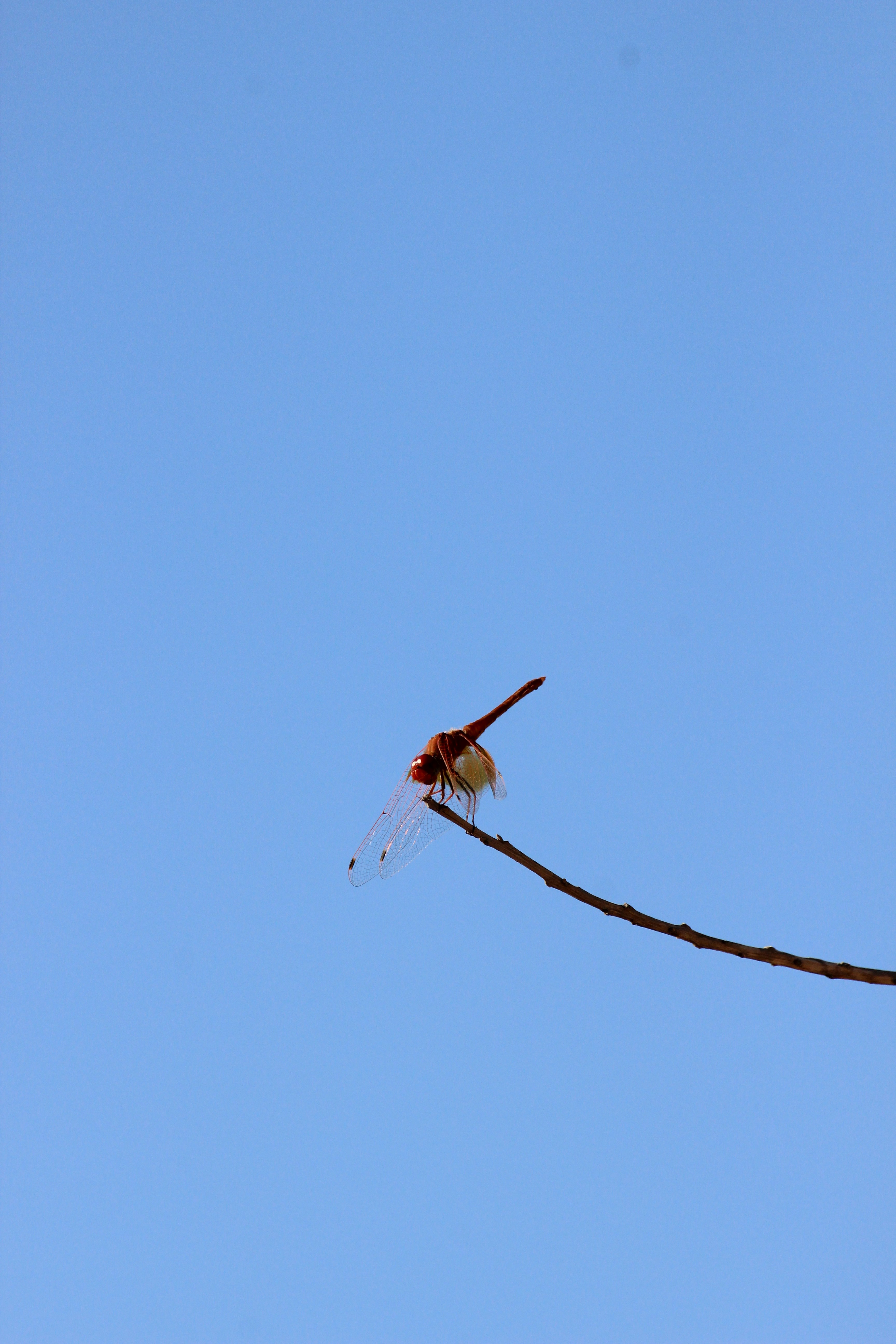 Photo by othmanfsili