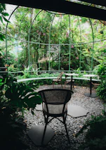 Beautifully landscaped garden with vibrant plants and outdoor seating.