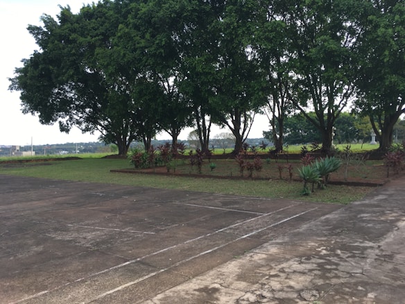A row of large trees provides shade for a small landscaped area with various plants. The scene includes a concrete walkway or driveway in the foreground, and a grassy field and distant landscape in the background.