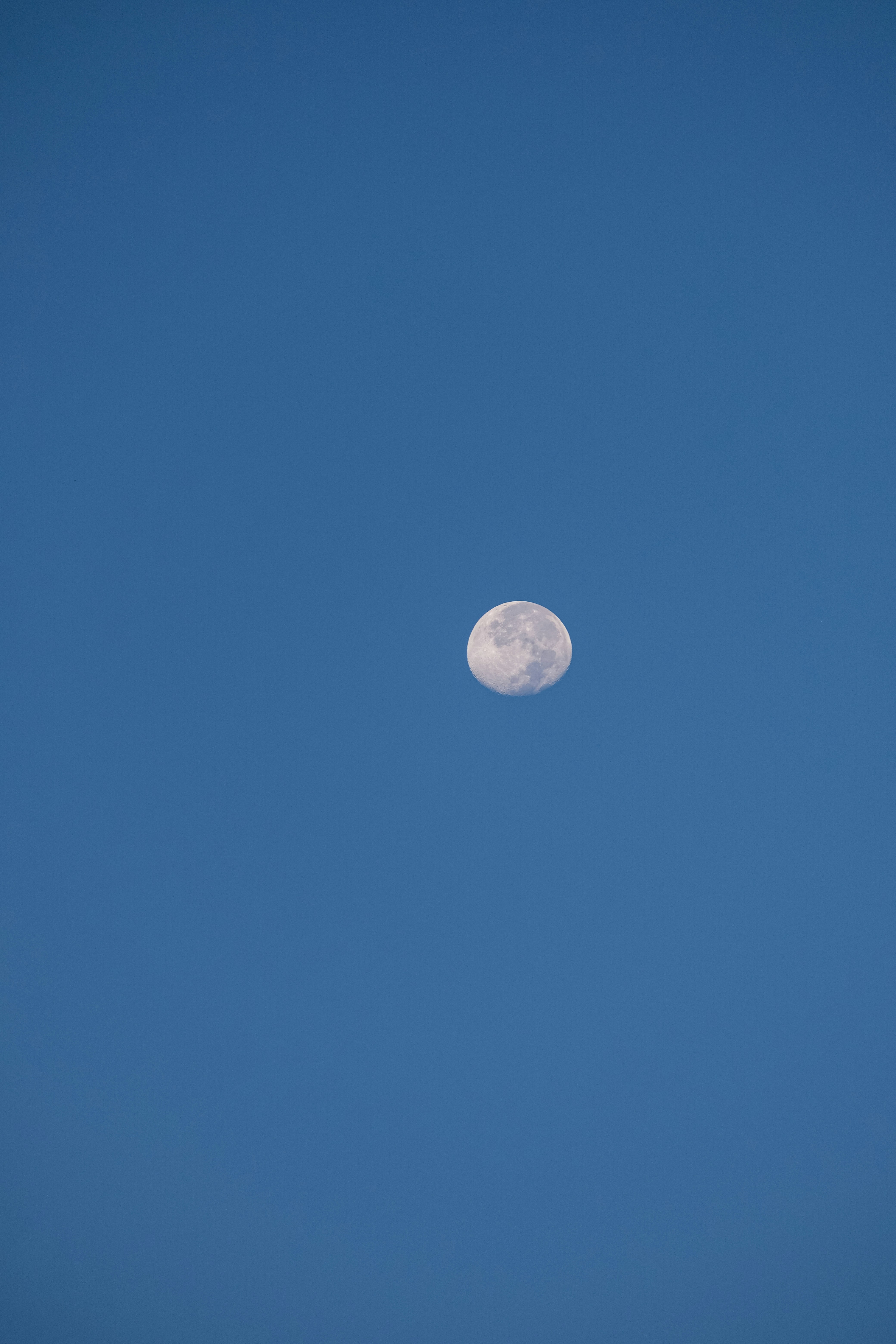 Photo by cestmoisheedy