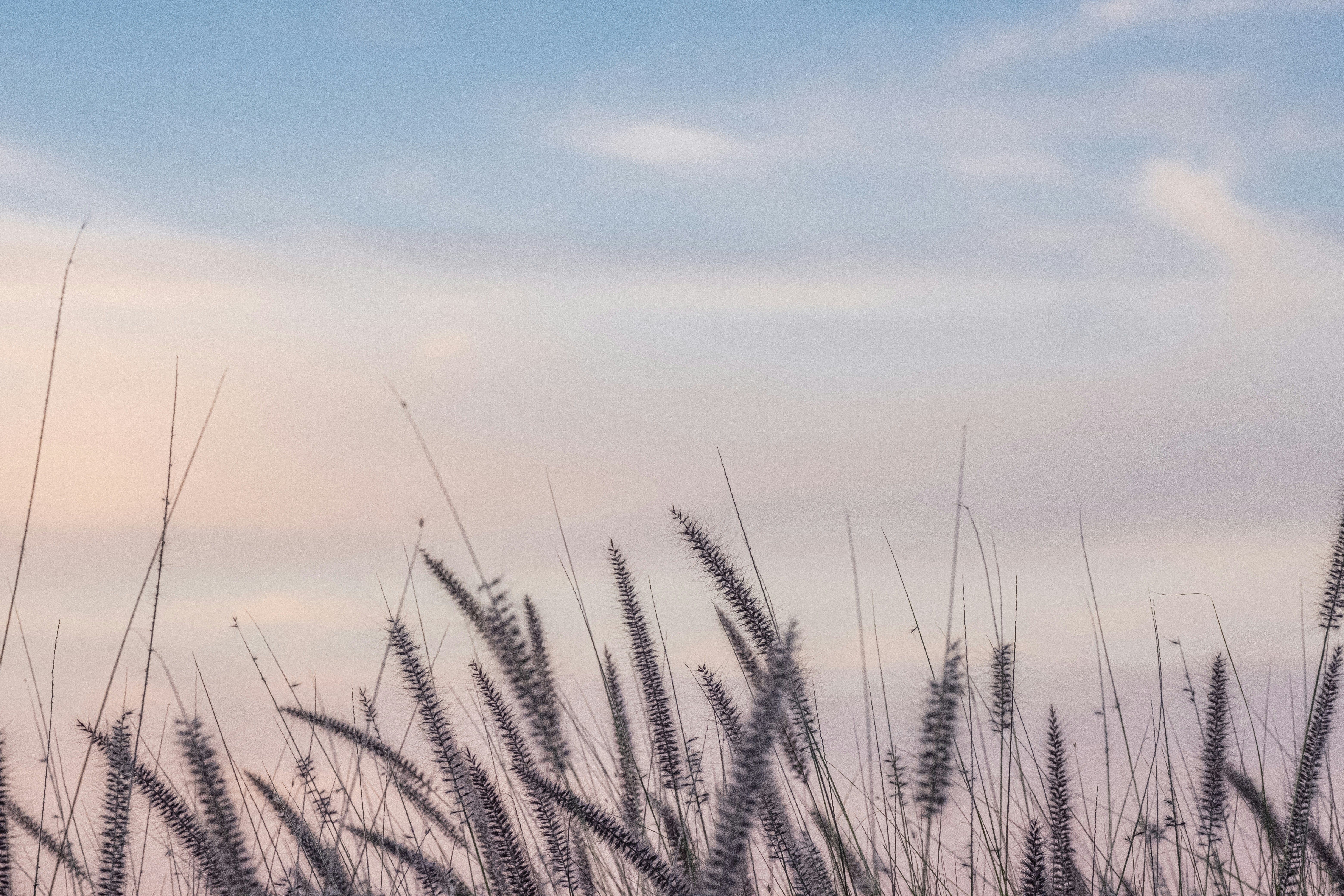 Photo by cestmoisheedy