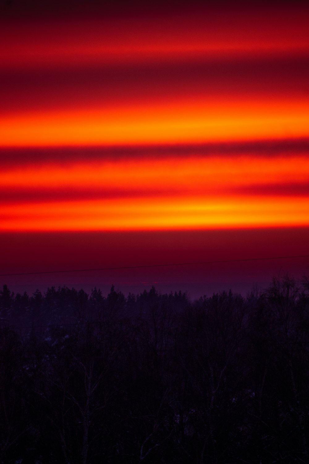 a red and orange sunset over a forest