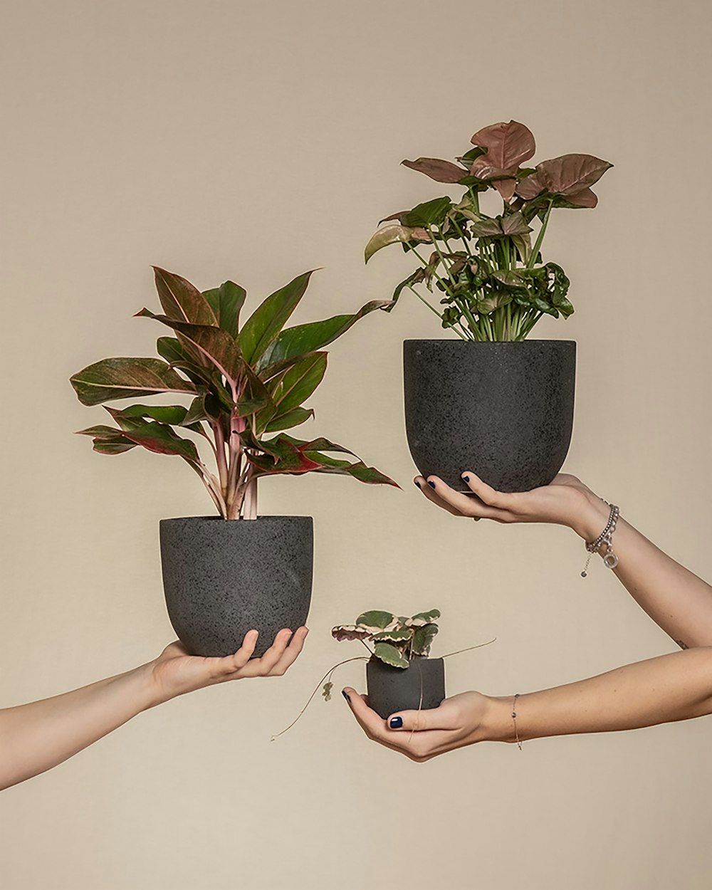 a group of people holding plants in their hands