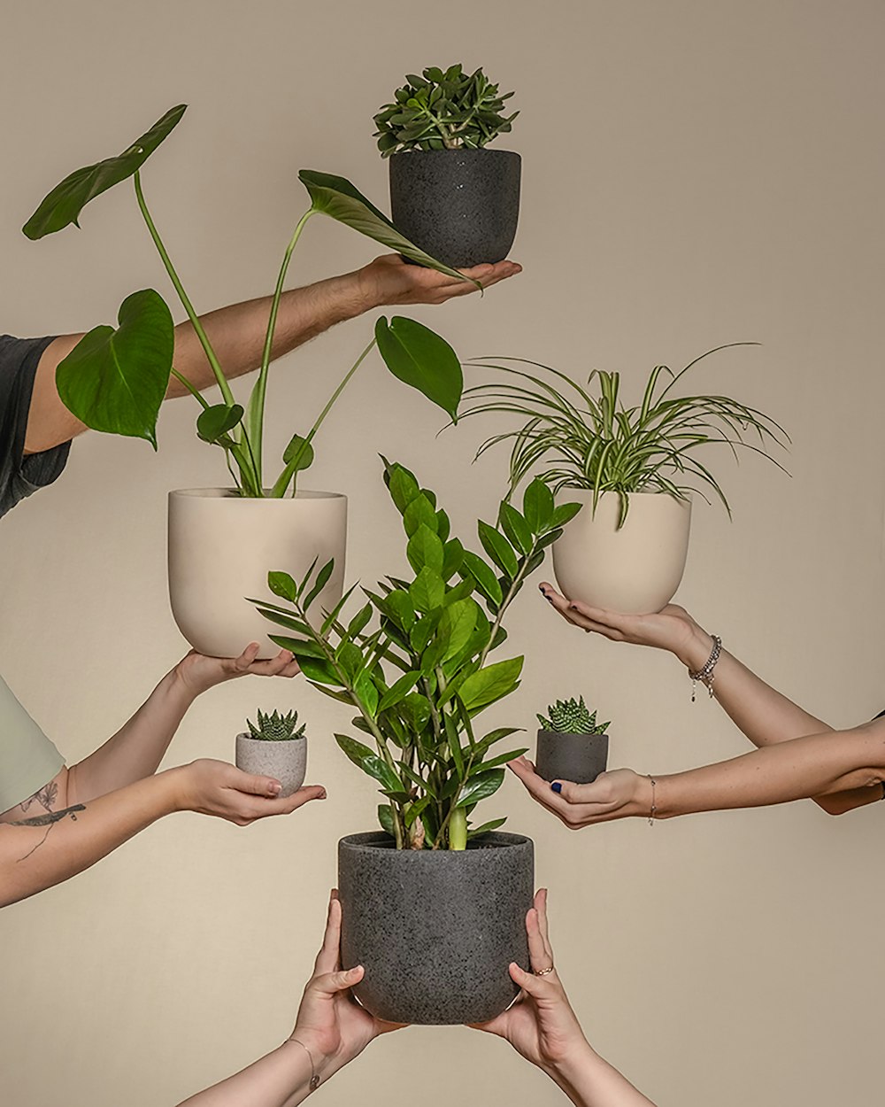 a group of people holding plants in their hands