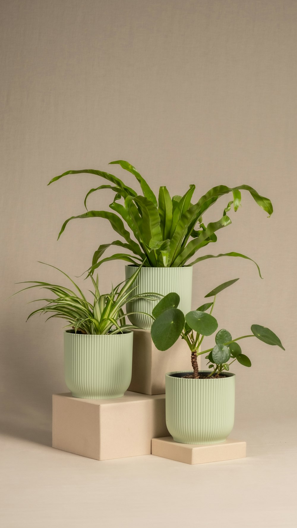 a group of three planters sitting on top of each other