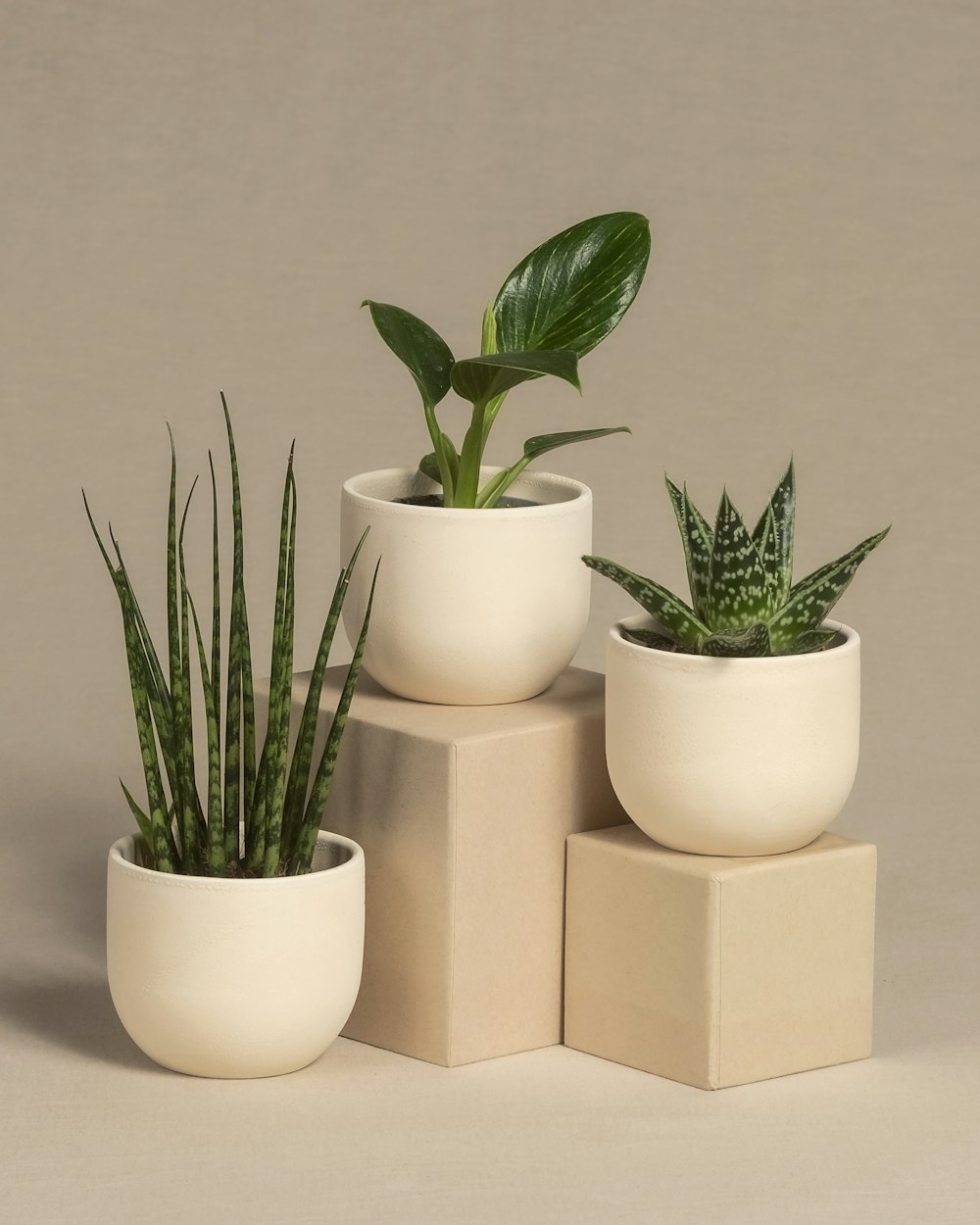 a group of three planters sitting next to each other