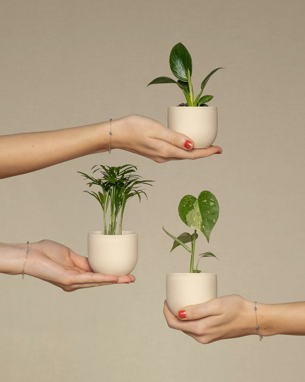 a group of people holding plants in their hands