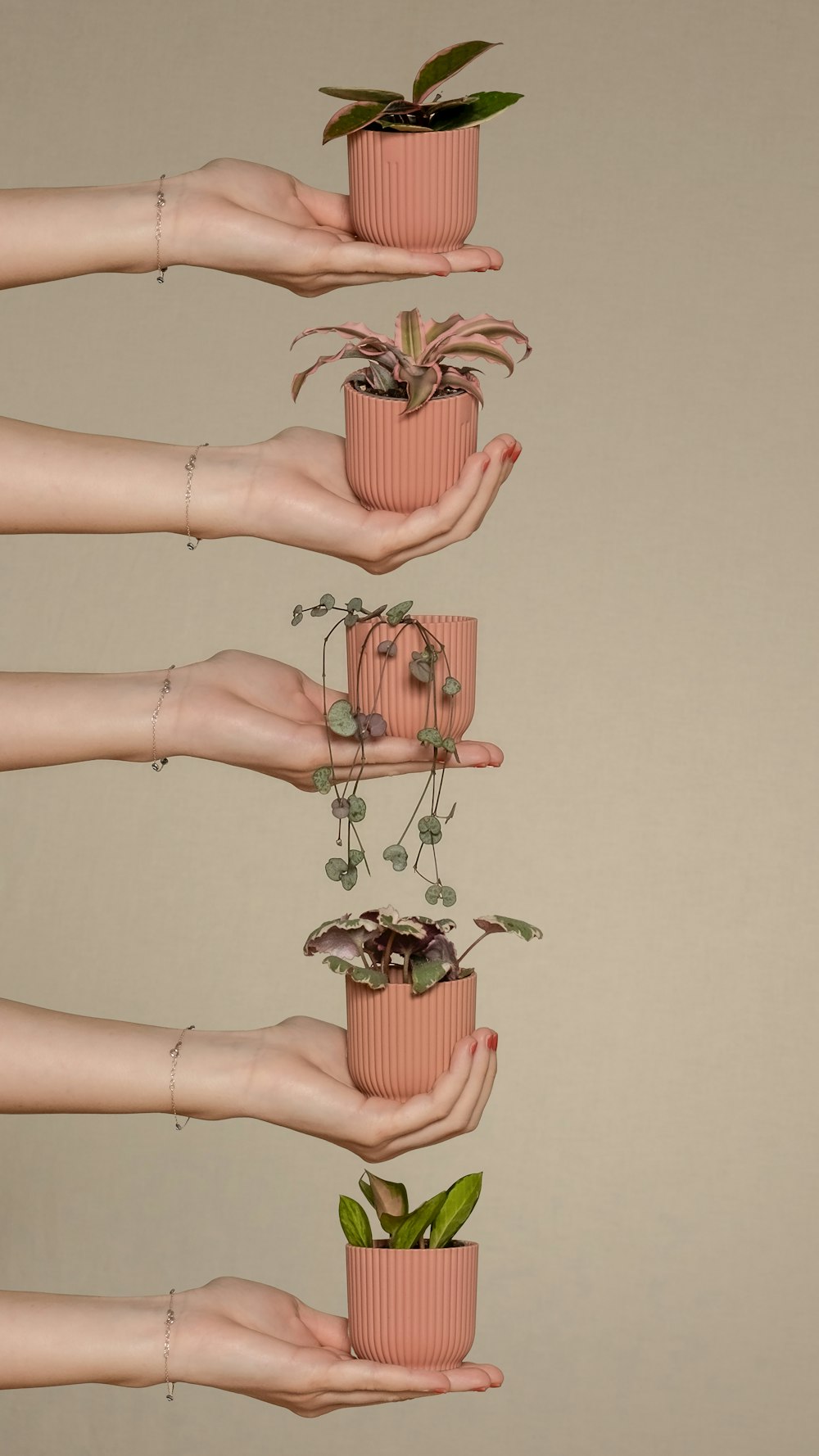 a woman's hands holding four pink cups with plants in them