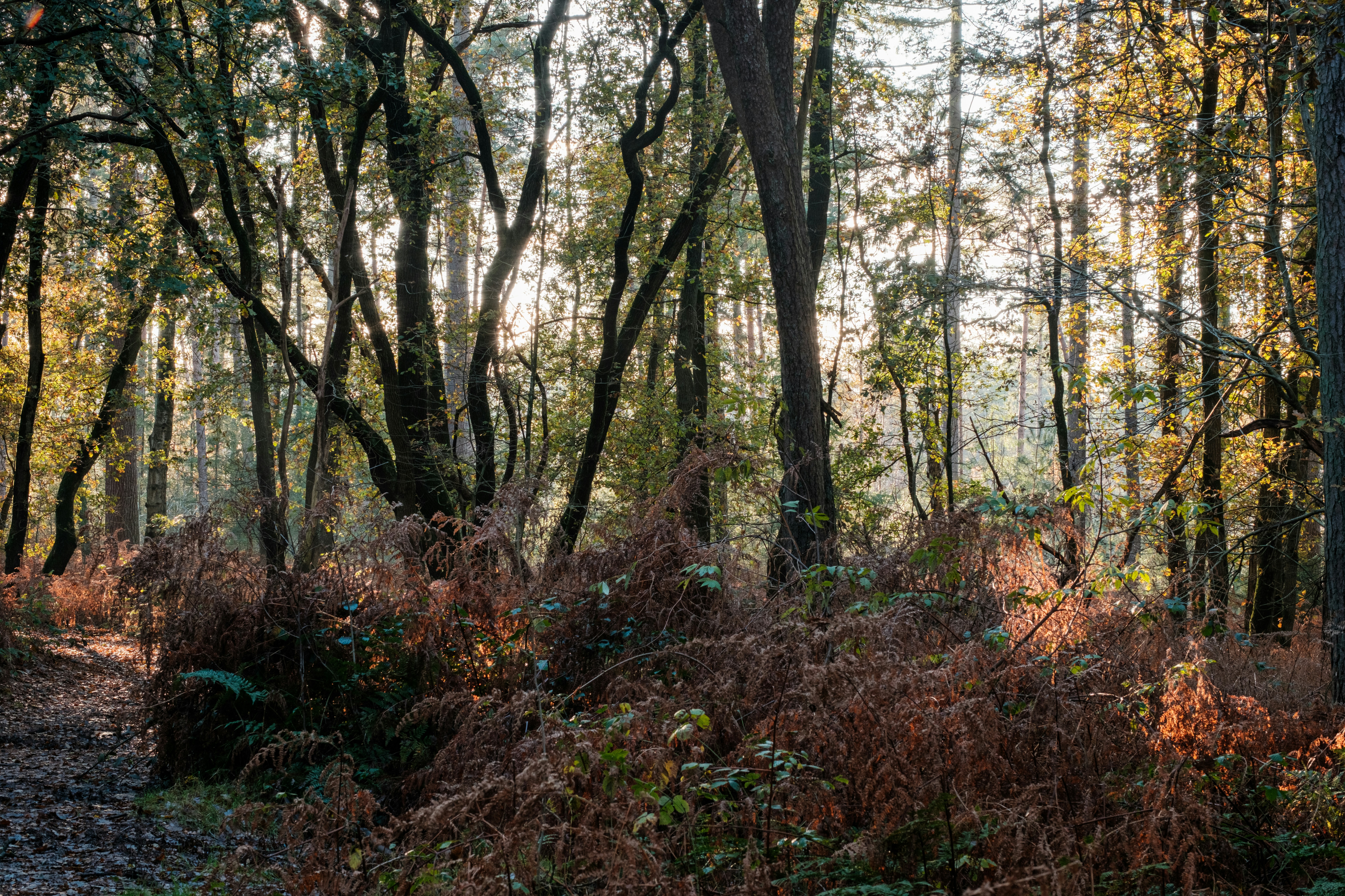 Photo by haberdoedas2