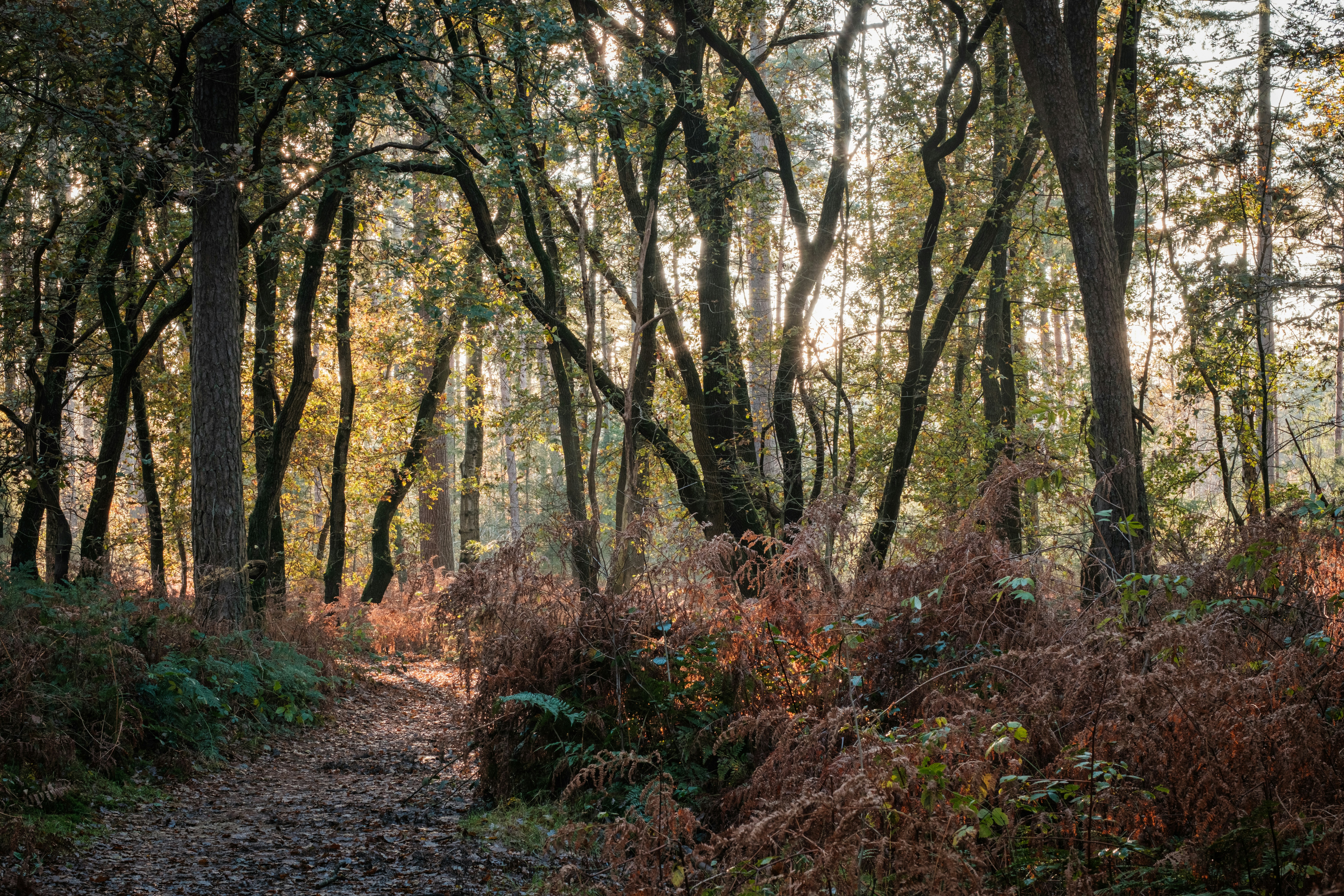 Photo by haberdoedas2