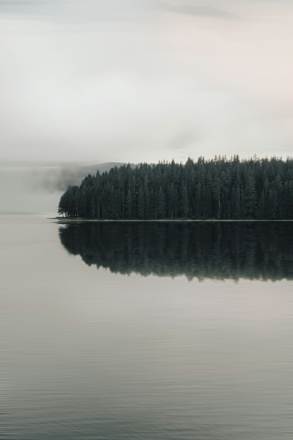 a large body of water surrounded by trees