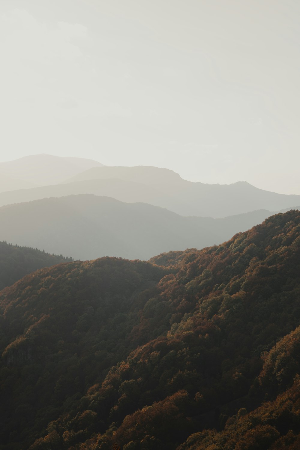 a view of a mountain range with trees in the foreground