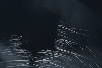 A dynamic scene of a music waveform intertwined with abstract art shapes glowing on a dark background.