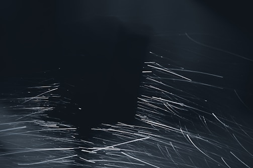 A dynamic scene of a music waveform intertwined with abstract art shapes glowing on a dark background.