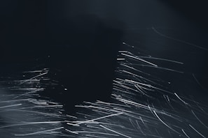 A dynamic outdoor scene capturing energy and motion with dramatic shadows.