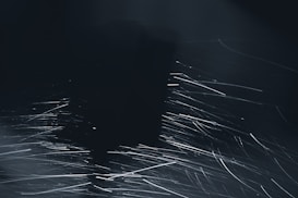 A dark, abstract scene with streaks of light creating dynamic, sweeping curves across a shadowy background, suggesting movement or energy.