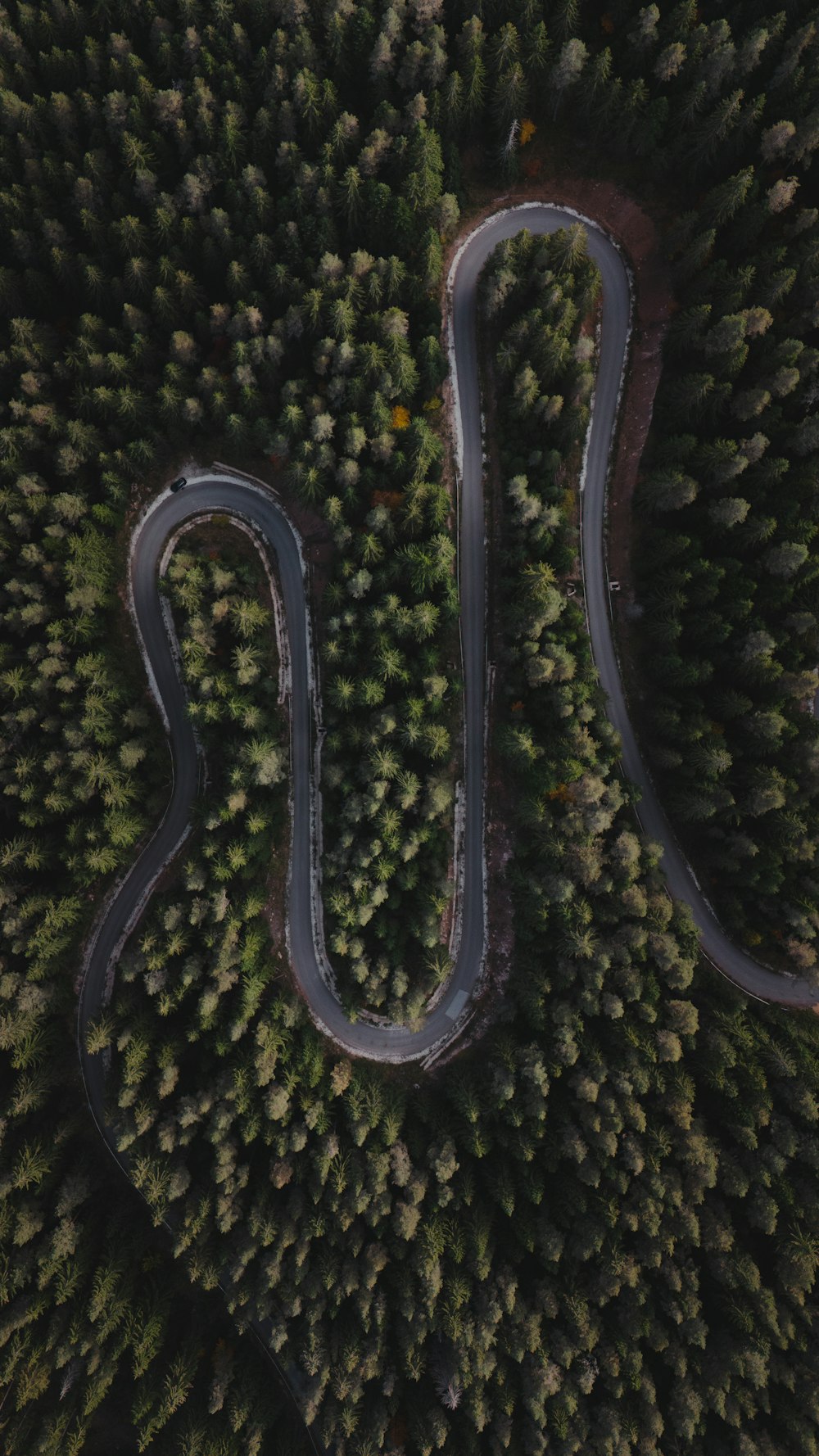 a winding road in the middle of a forest