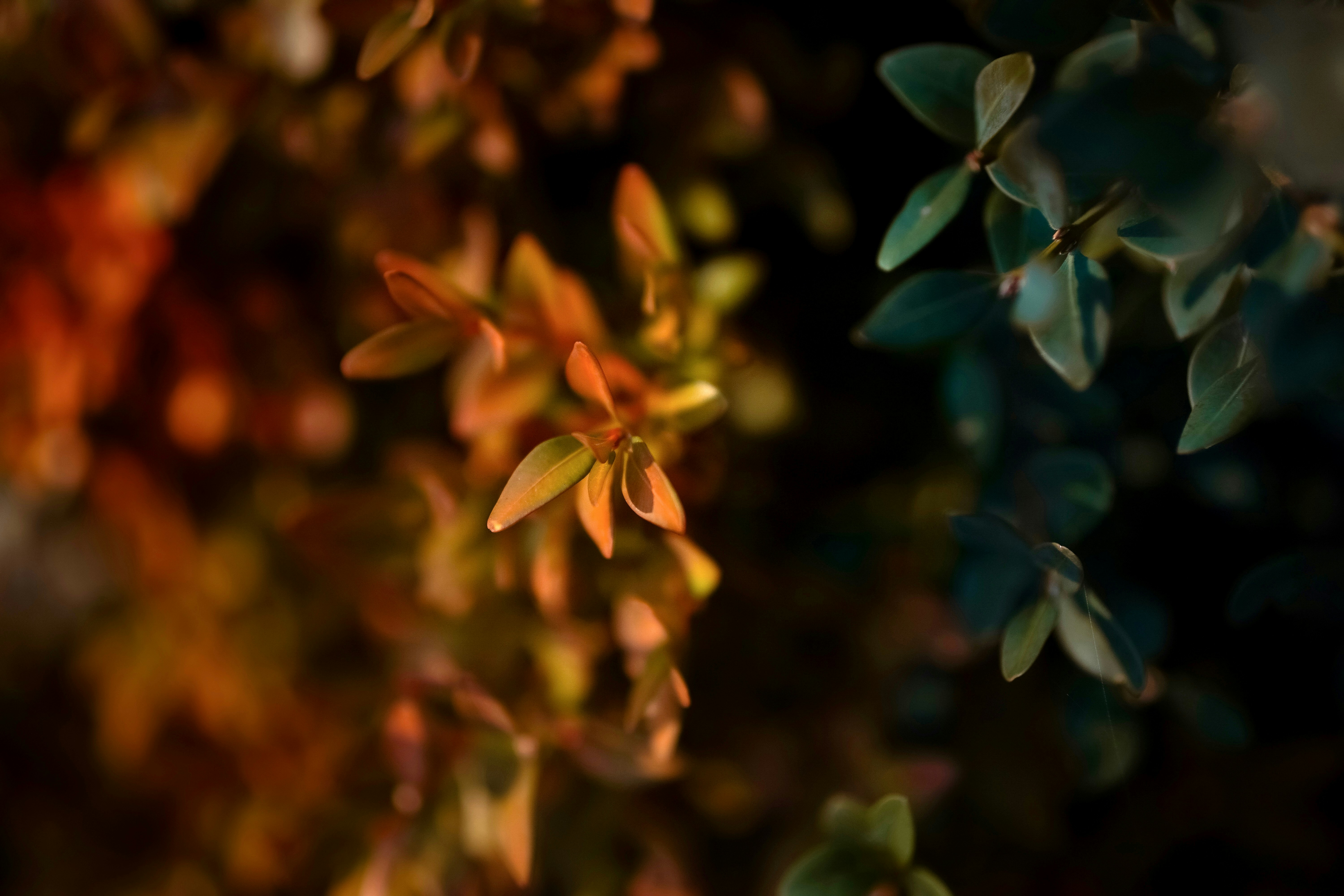 Photo by emmalimillard