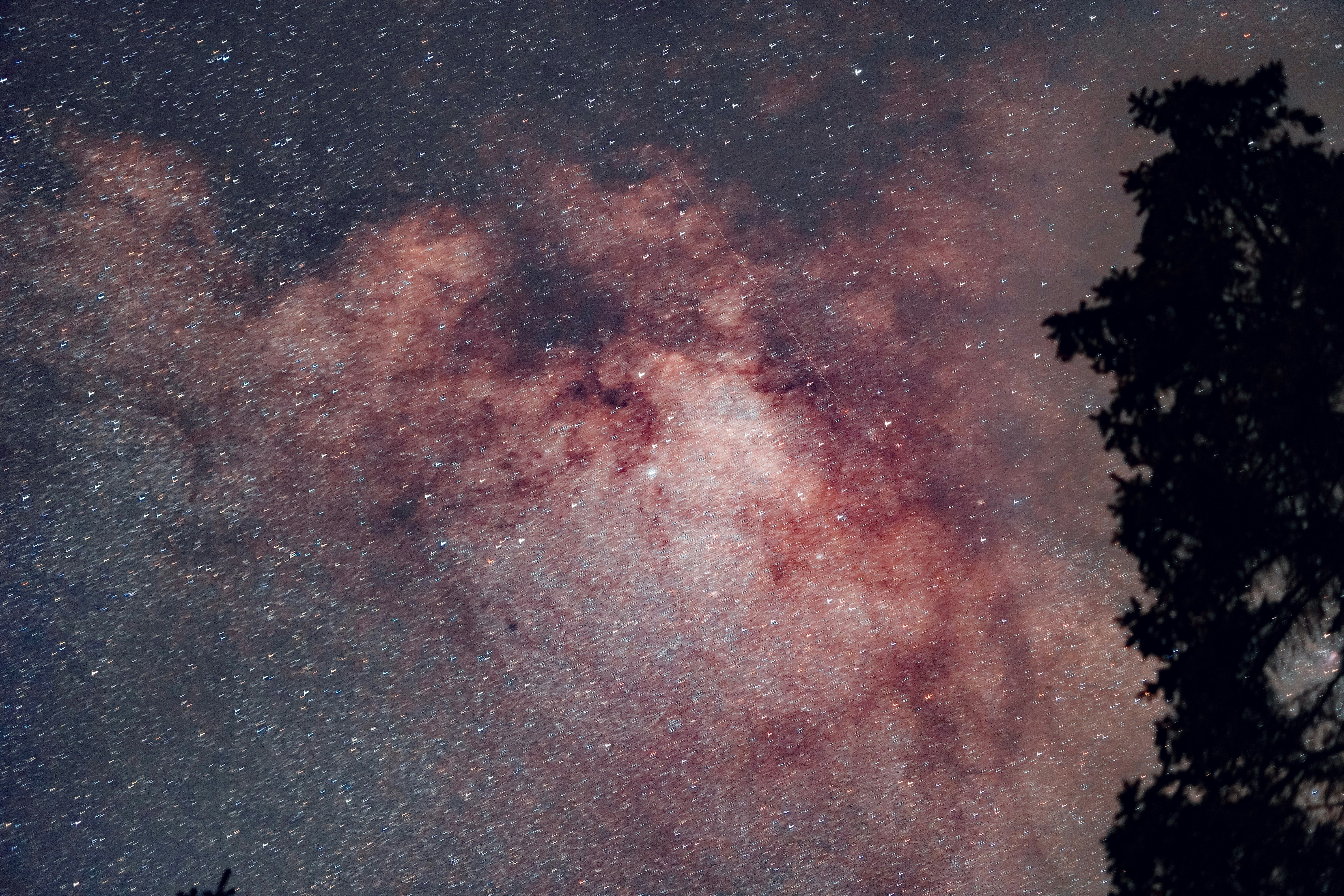 Photo by emmalimillard