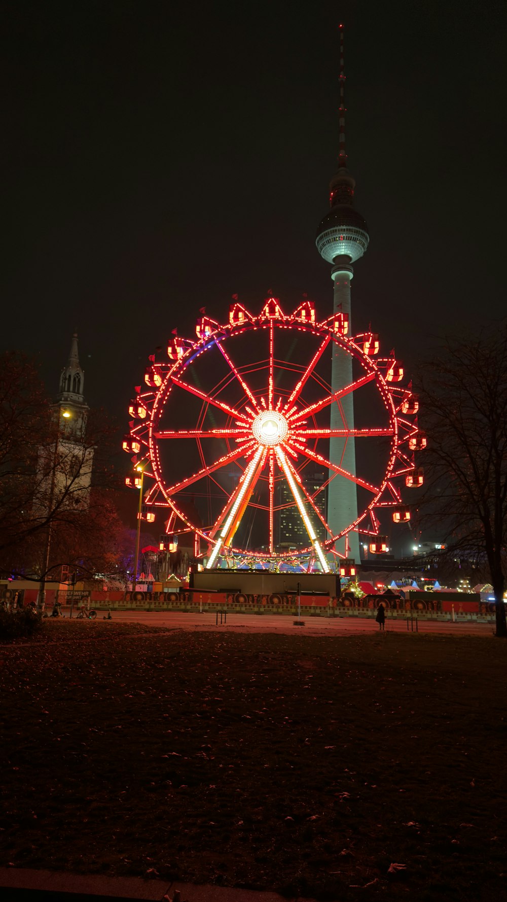 a ferris wheel lit up at night in a park