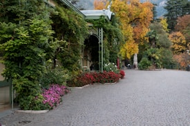 A quaint, cobblestone patio area enveloped by lush greenery and vibrant flowers. The foliage includes a mix of lush green leaves and colorful autumn trees, creating a harmonious blend of warm and cool tones. A classical building facade is partially visible, covered with climbing plants. There are outdoor chairs and tables under an umbrella in the background, suggesting a peaceful setting for relaxation.