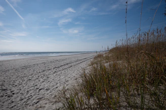 a sandy beach next to the ocean under a blue sky