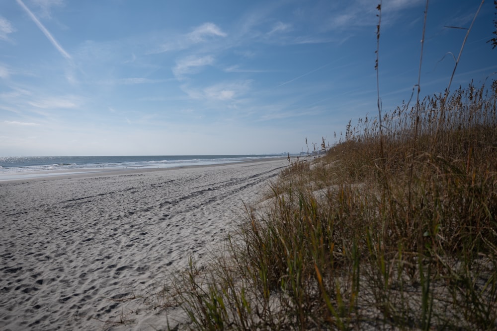 Une plage de sable au bord de l’océan sous un ciel bleu