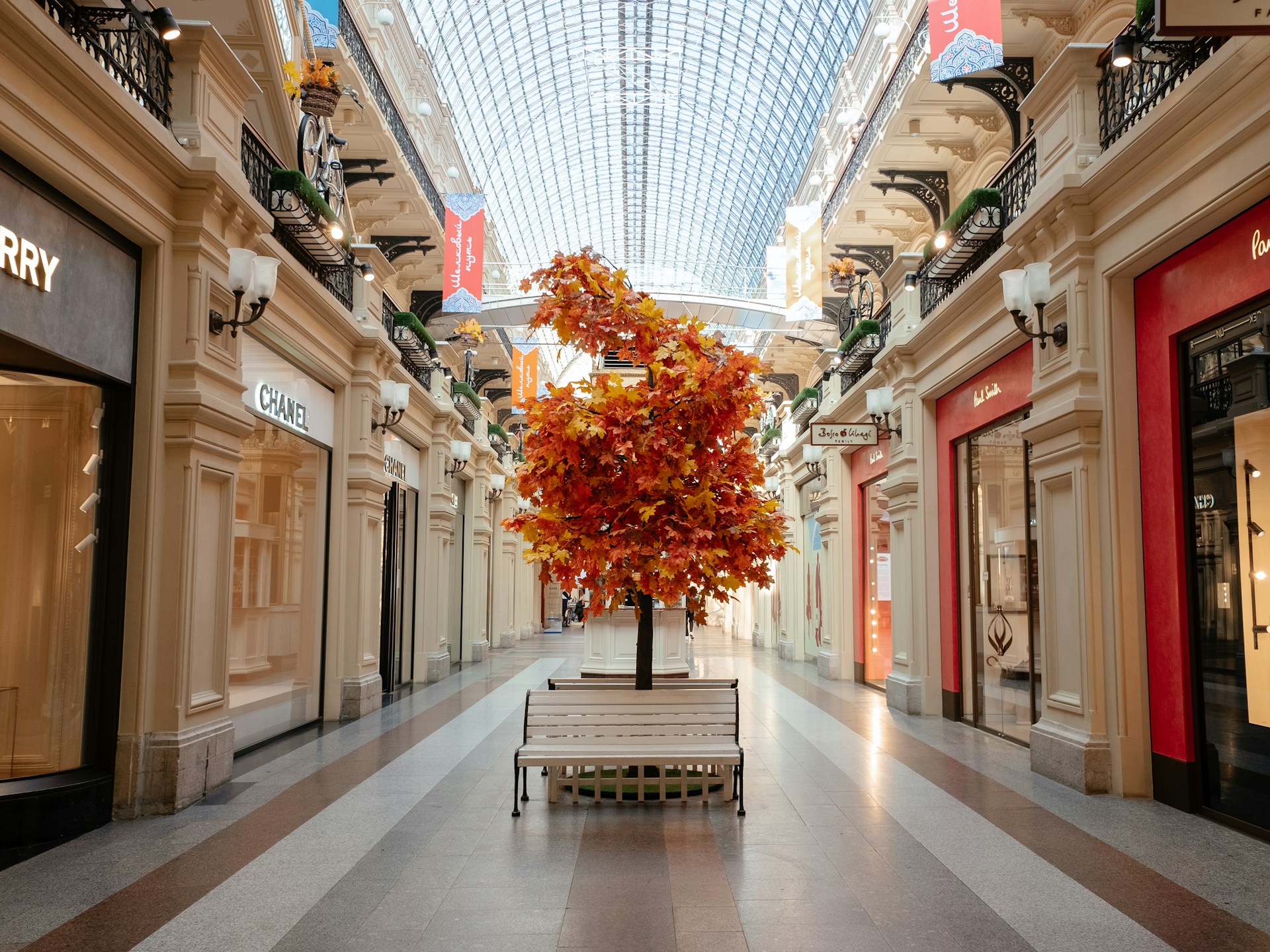 a tree in the middle of a shopping mall
