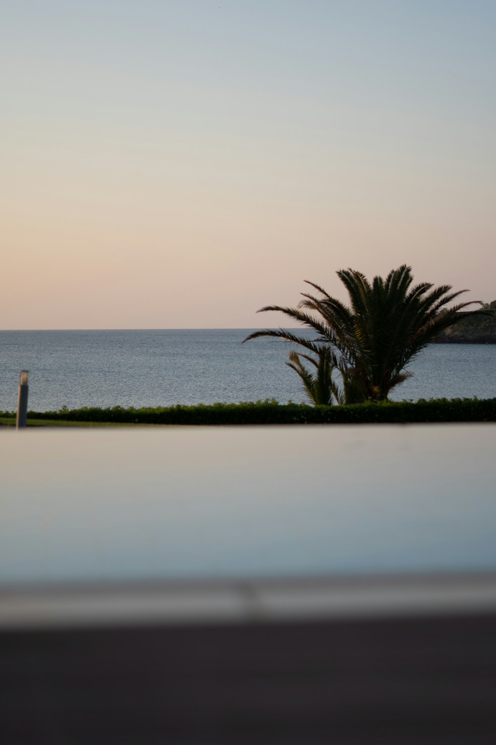 a view of a body of water with a palm tree in the foreground