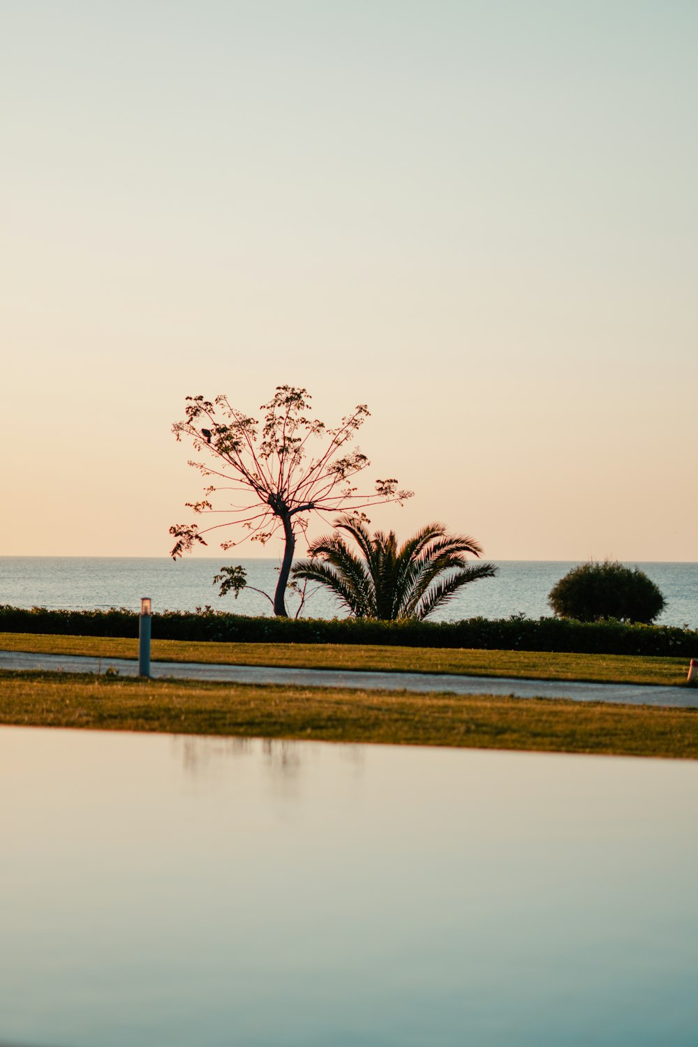 a person walking on a path next to a body of water