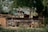 Several donkeys are standing in a wooden pen surrounded by lush greenery and a large tree. The pen has a makeshift canopy providing some shade to the animals. There is a mixture of natural materials like wood and some rough, weathered textures visible on the enclosure.