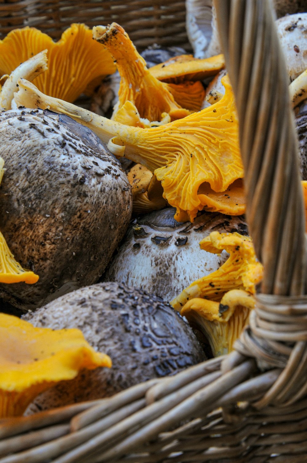 a basket filled with lots of different types of mushrooms