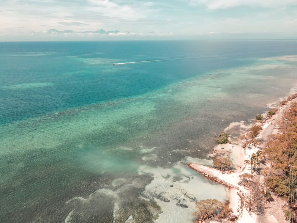 an aerial view of a beach and the ocean