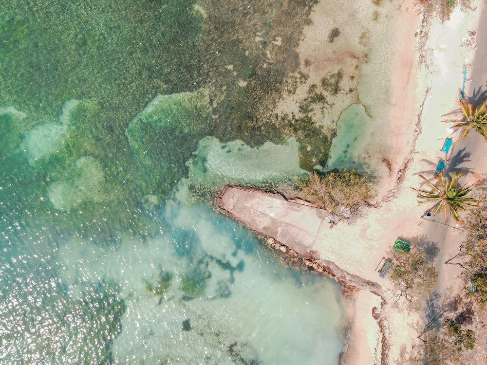 an aerial view of a sandy beach with palm trees