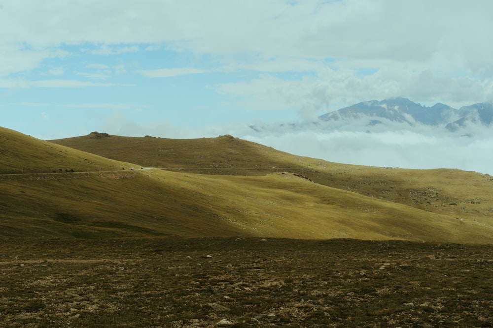 a grassy hill with a road going through it