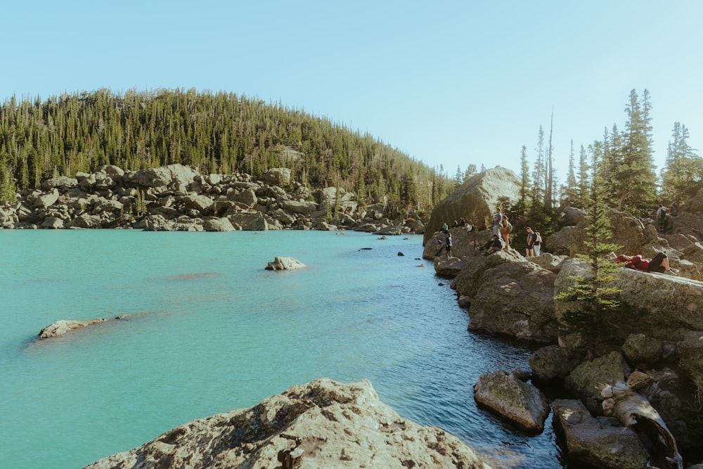 a body of water surrounded by trees and rocks