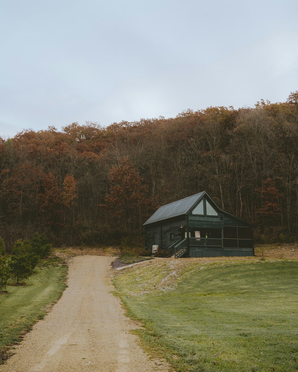 a dirt road leading to a small cabin in the woods