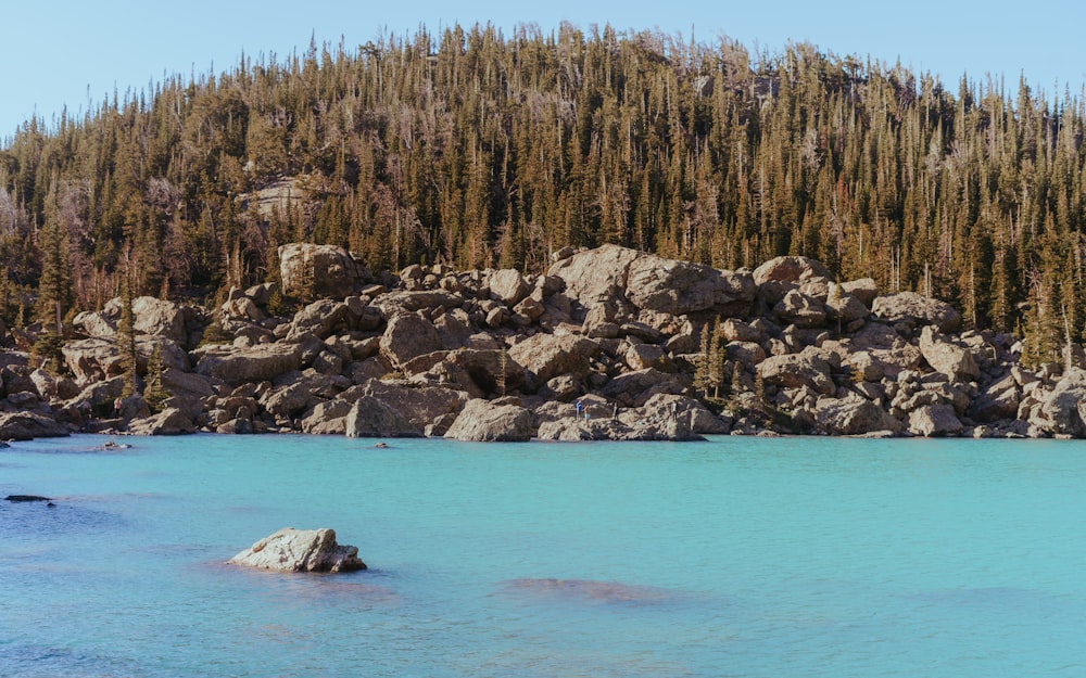 a body of water surrounded by trees and rocks