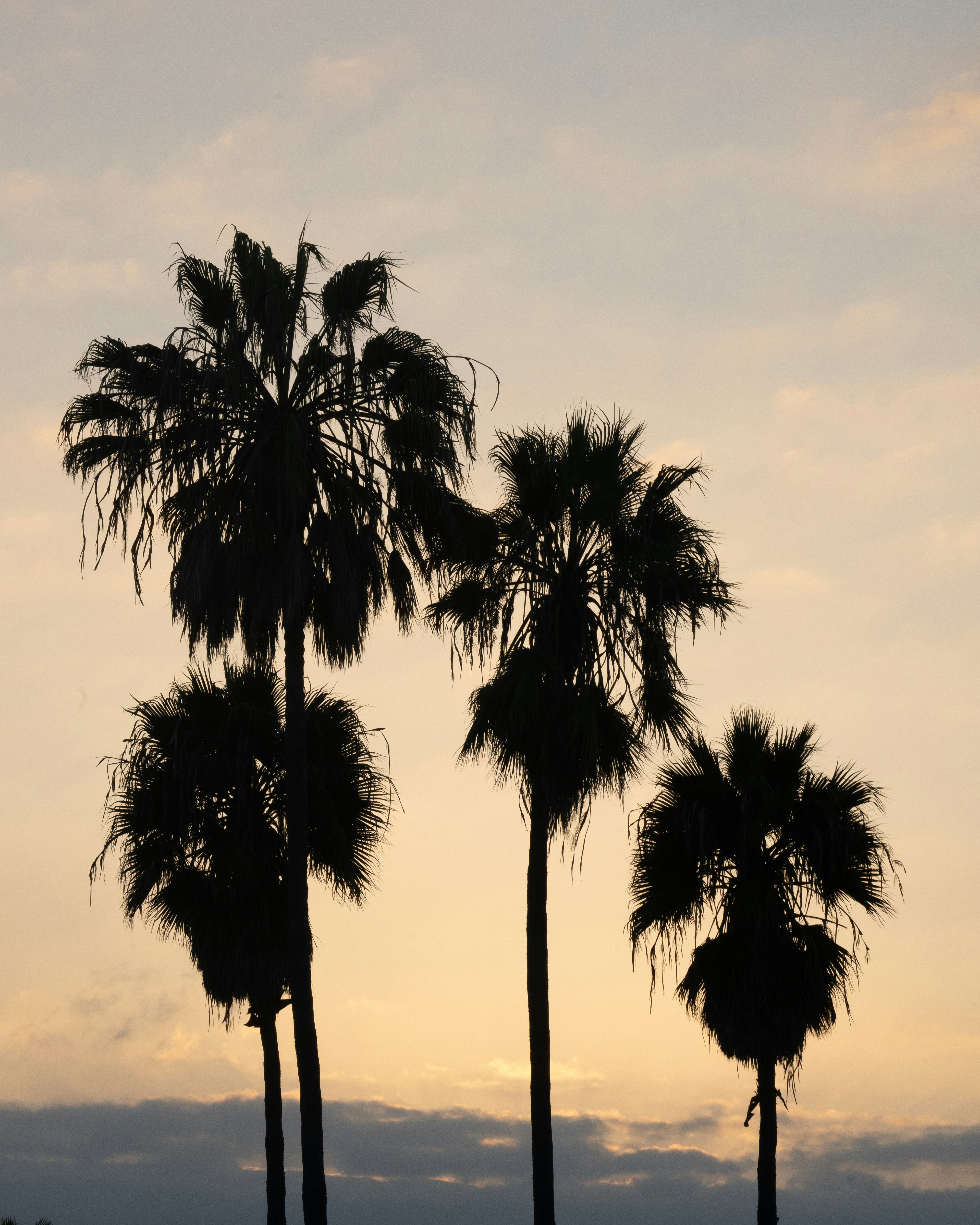 Photo by willianjusten