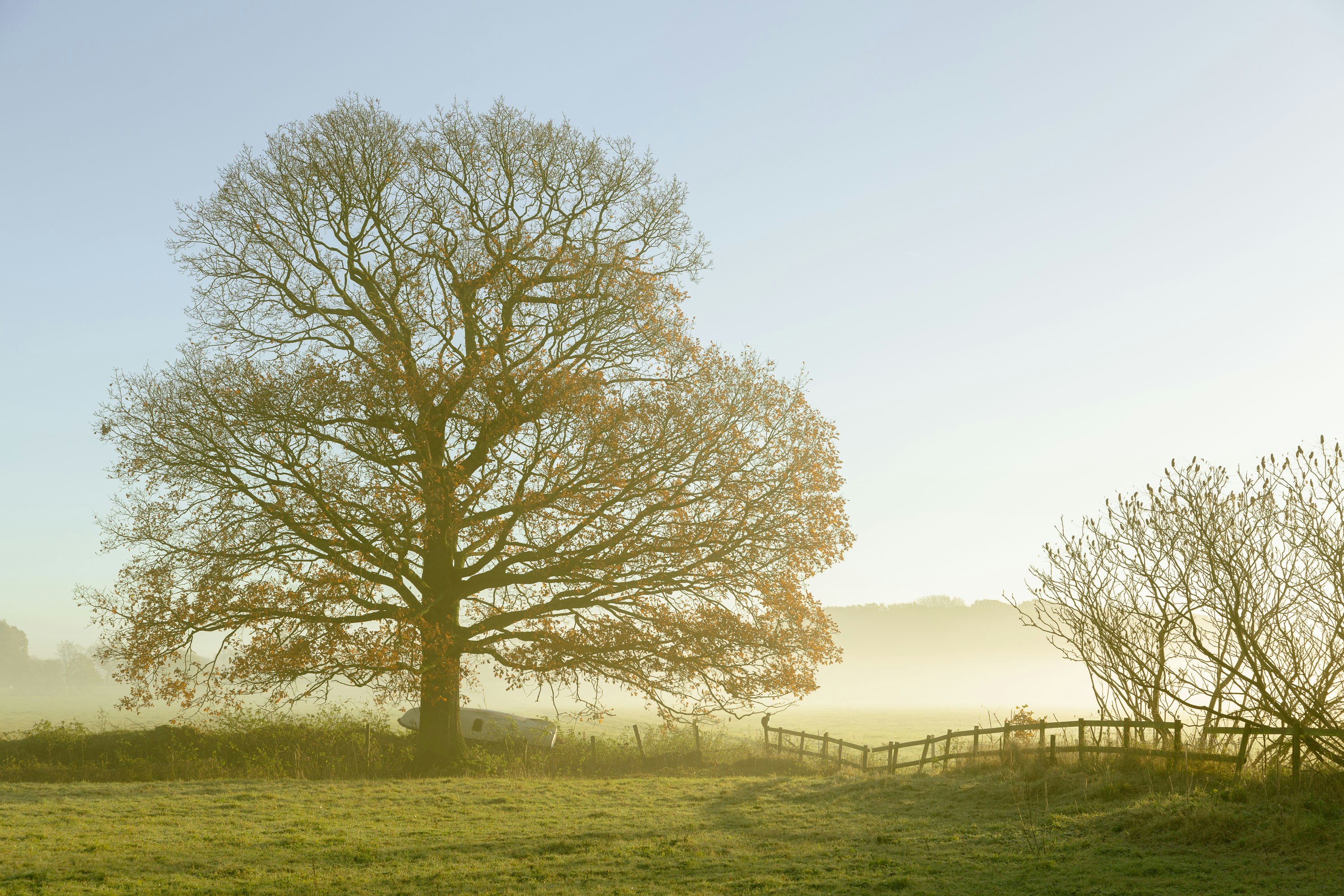 Photo by itscakefortea