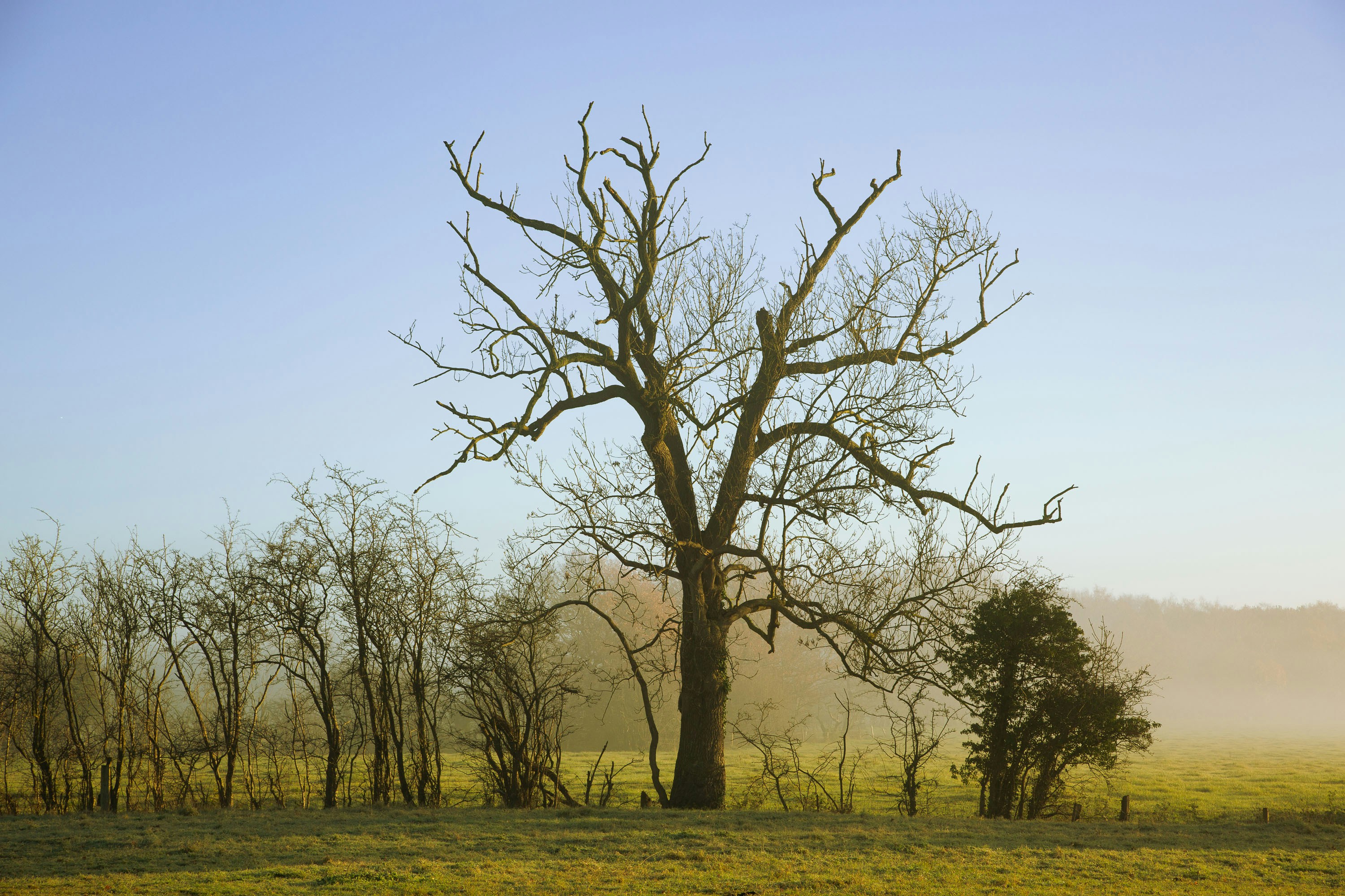 Photo by itscakefortea