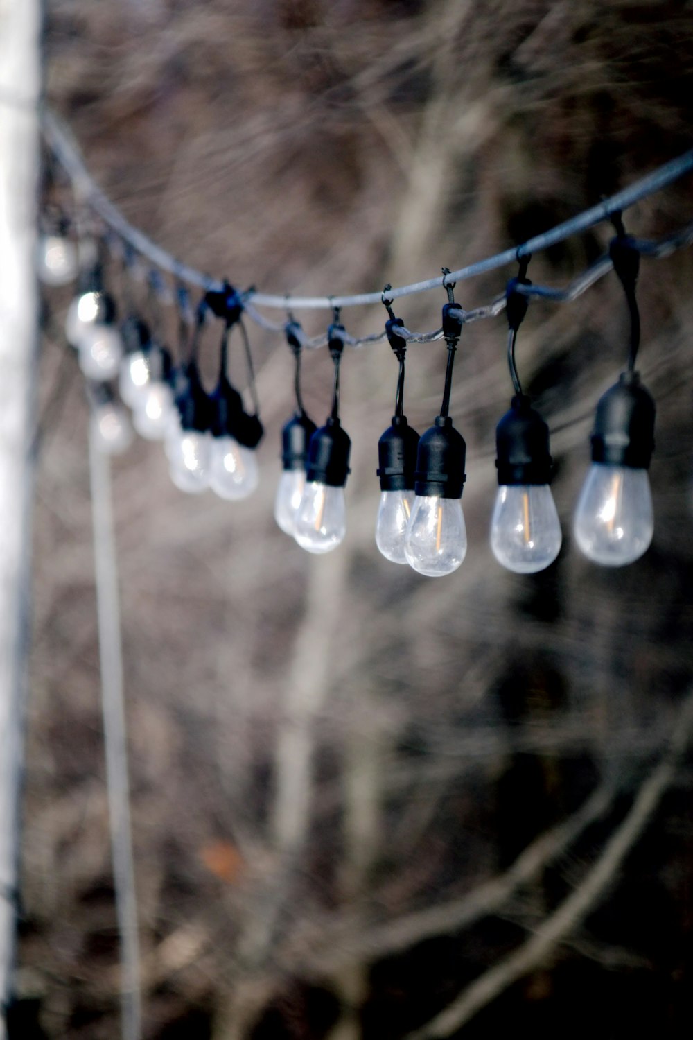 a bunch of light bulbs hanging from a wire