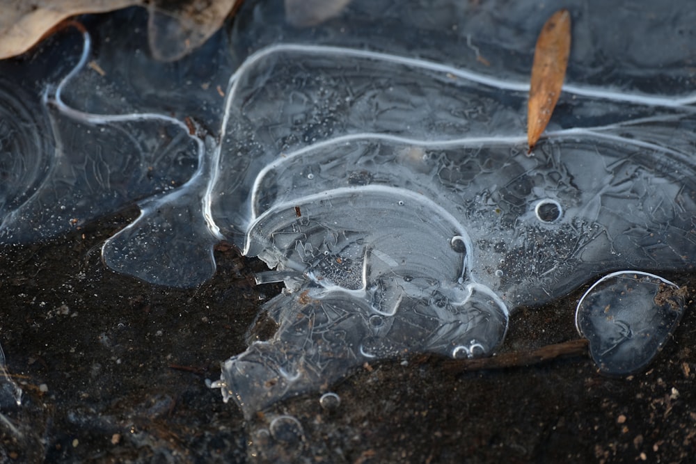 a puddle of water with a cigarette sticking out of it