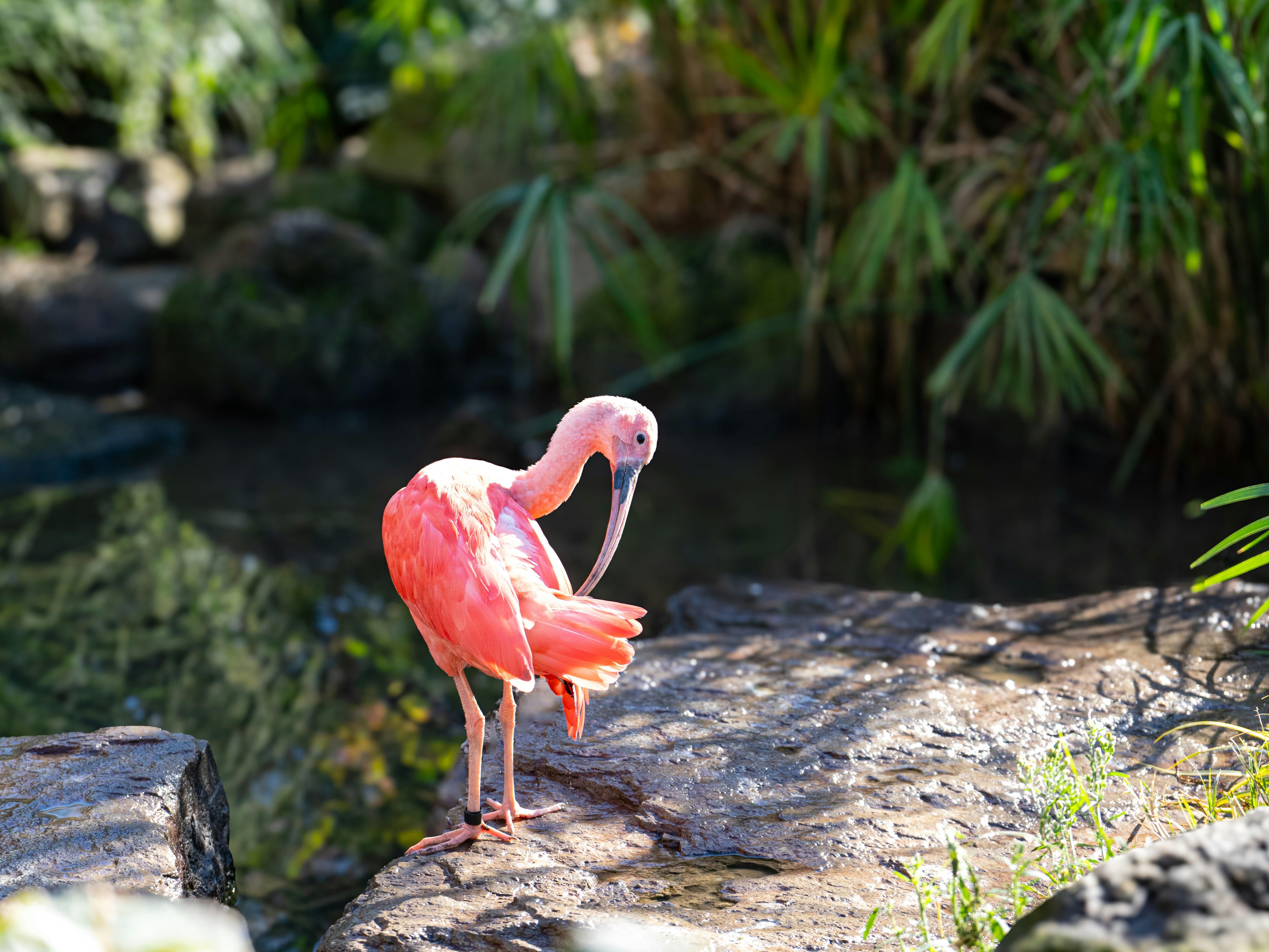 Photo by viveksumanth