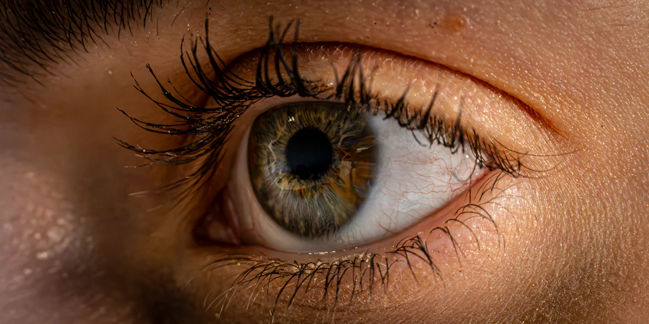 Close-up of a retina scan showing detailed blood vessels and macula.